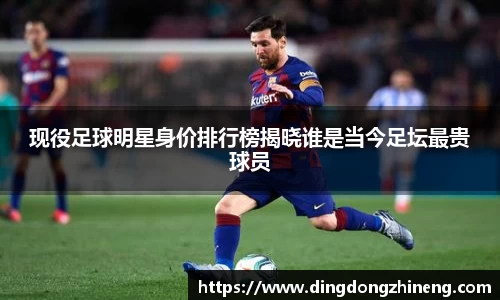 三亿(集团)体育