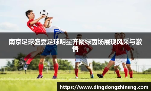 南京足球盛宴足球明星齐聚绿茵场展现风采与激情