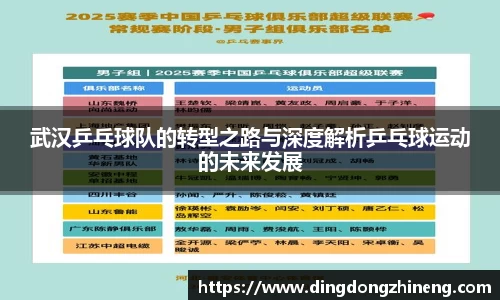 武汉乒乓球队的转型之路与深度解析乒乓球运动的未来发展